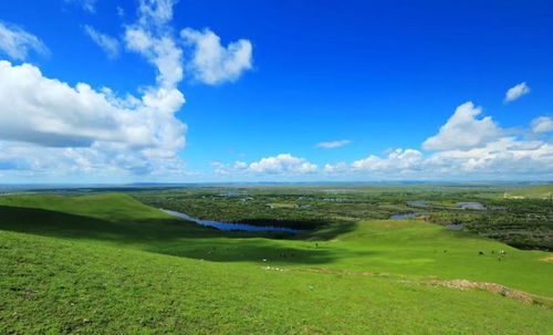草與禾 中華文明四千年融合史與農(nóng)副產(chǎn)品的淵源